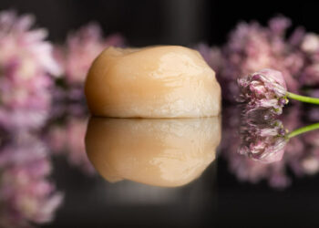 AQUA Cultured Foods Partners with Ginkgo Bioworks to Optimize Alt-Seafood Production