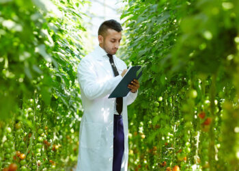 GreenVenusTM and Plant Research (NZ) LTD partner to develop climate-resilient field pea varieties and deliver clean protein solutions for human and pet food markets