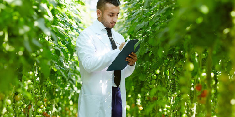 GreenVenusTM and Plant Research (NZ) LTD partner to develop climate-resilient field pea varieties and deliver clean protein solutions for human and pet food markets