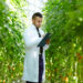 GreenVenusTM and Plant Research (NZ) LTD partner to develop climate-resilient field pea varieties and deliver clean protein solutions for human and pet food markets