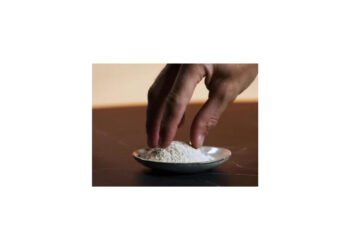 The Protein Brewery receives novel food regulatory approval