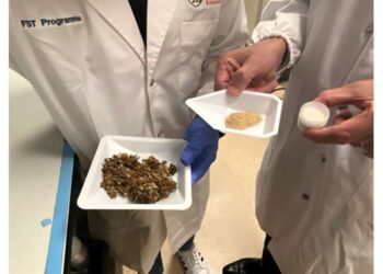 Researchers develop method to extract useful proteins from beer-brewing leftovers