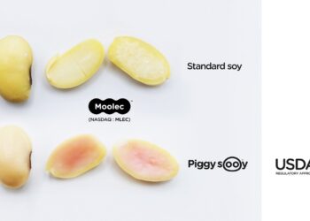 Moolec Becomes First Molecular Farming Company to Achieve USDA Approval for Plant-Grown Animal Proteins