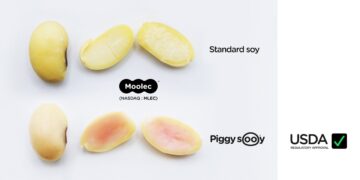 Moolec Becomes First Molecular Farming Company to Achieve USDA Approval for Plant-Grown Animal Proteins