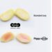 Moolec Becomes First Molecular Farming Company to Achieve USDA Approval for Plant-Grown Animal Proteins