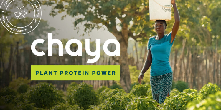 Women’s Co-op in Zimbabwe Launches Chaya Kickstarter Campaign with MATTER to Produce Plant Protein Products