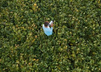 U.S. Soy Meets Consumer Demand