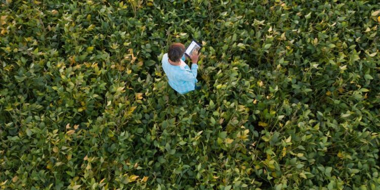 U.S. Soy Meets Consumer Demand