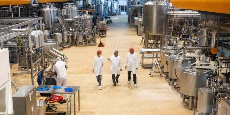 Scaling up necessary to maintain leadership position in protein transition