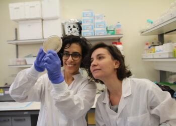 Paving the way to making stretchy, protein-rich, dairy cheese – cow-free