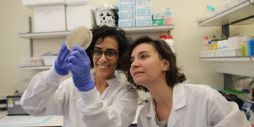 Paving the way to making stretchy, protein-rich, dairy cheese – cow-free