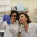 Paving the way to making stretchy, protein-rich, dairy cheese – cow-free