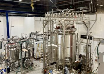 How Brevel Implements First-Of-A-Kind (FOAK) Model for Its Microalgae Protein
