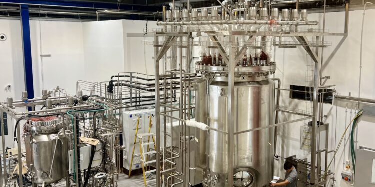 How Brevel Implements First-Of-A-Kind (FOAK) Model for Its Microalgae Protein