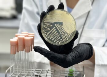 Pureture Achieves Breakthrough in Plant-Based Protein : Redefining Muscle Development and Performance