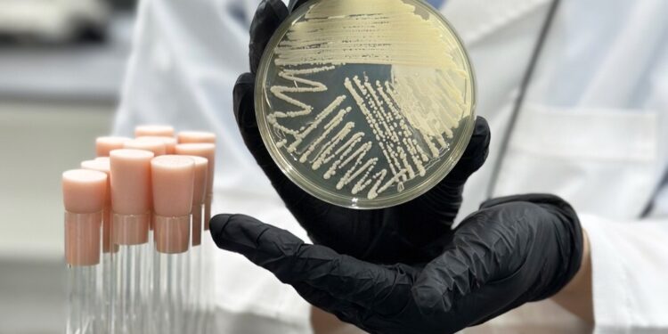 Pureture Achieves Breakthrough in Plant-Based Protein : Redefining Muscle Development and Performance