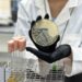 Pureture Achieves Breakthrough in Plant-Based Protein : Redefining Muscle Development and Performance