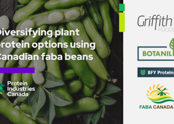 Diversifying plant protein options with new sustainably produced faba ingredients