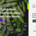 Diversifying plant protein options with new sustainably produced faba ingredients