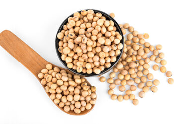 Should postmenopausal women eat soy? Researchers reveal why the answer is “yes.”