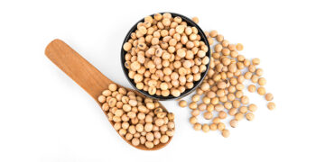 Should postmenopausal women eat soy? Researchers reveal why the answer is “yes.”