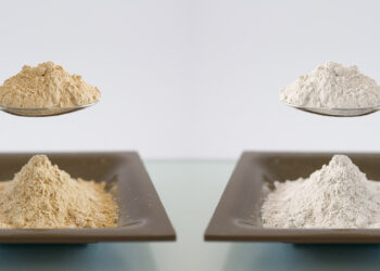 Next generation in plant-based protein & infant nutrition