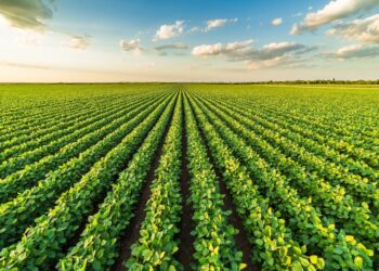 AI meets agriculture: Agmatix and BASF partner to develop Soybean Cyst Nematode detection tool
