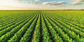 AI meets agriculture: Agmatix and BASF partner to develop Soybean Cyst Nematode detection tool