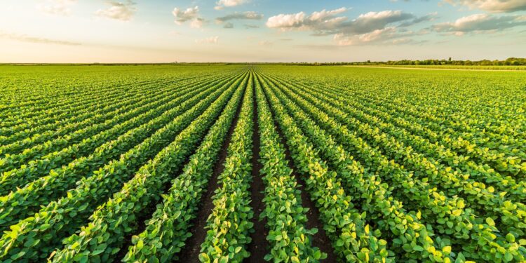 AI meets agriculture: Agmatix and BASF partner to develop Soybean Cyst Nematode detection tool