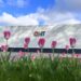 GNT advances CO2 reduction goals in latest sustainability report
