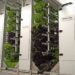 Fraunhofer Institutes launch FutureProteins Project to develop climate-independent protein production systems