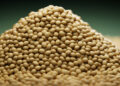 Europe’s textured pea for high-protein savory market to reach USD 980 Million by 2035, driven by meat alternatives