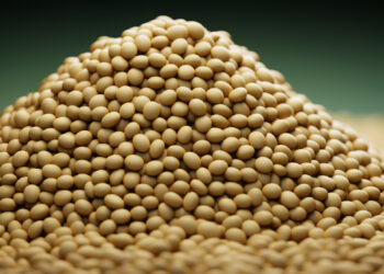 Europe’s textured pea for high-protein savory market to reach USD 980 Million by 2035, driven by meat alternatives
