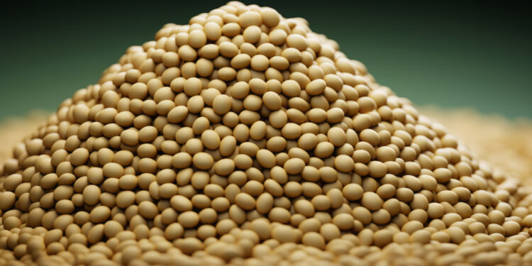 Europe’s textured pea for high-protein savory market to reach USD 980 Million by 2035, driven by meat alternatives