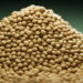 Europe’s textured pea for high-protein savory market to reach USD 980 Million by 2035, driven by meat alternatives